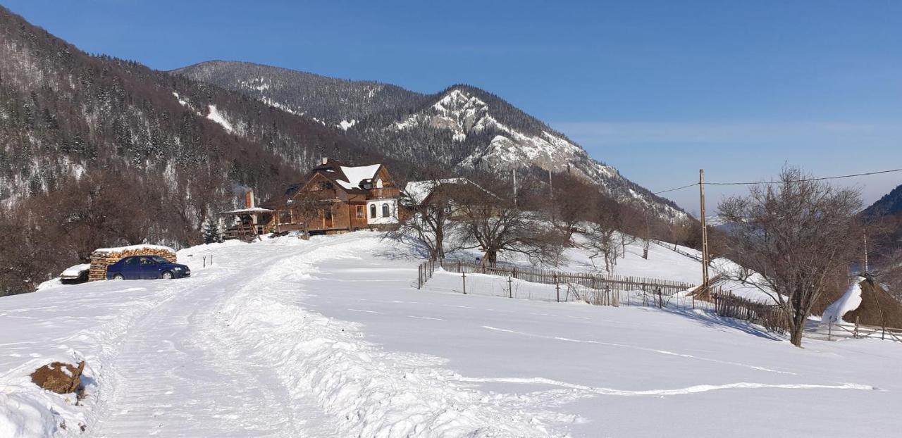 Ferienhaus Casa Muchia Lui Girnita *
