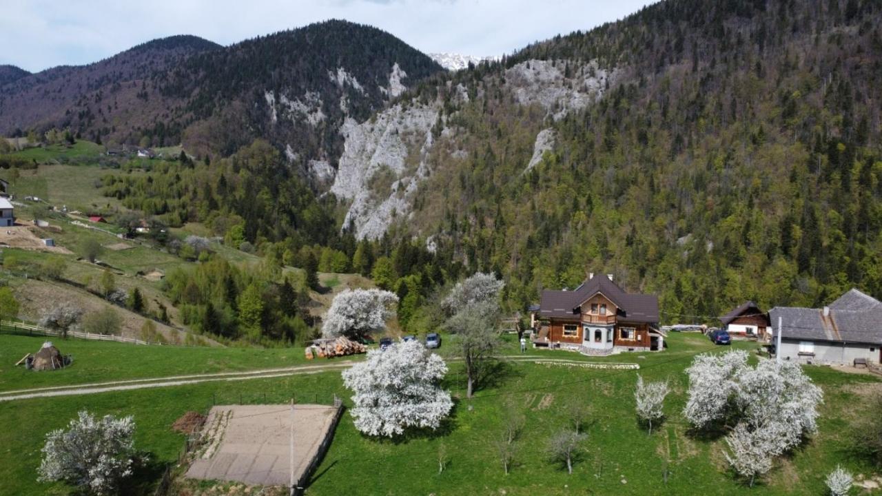 Casa Muchia Lui Girnita Ferienhaus Brașov