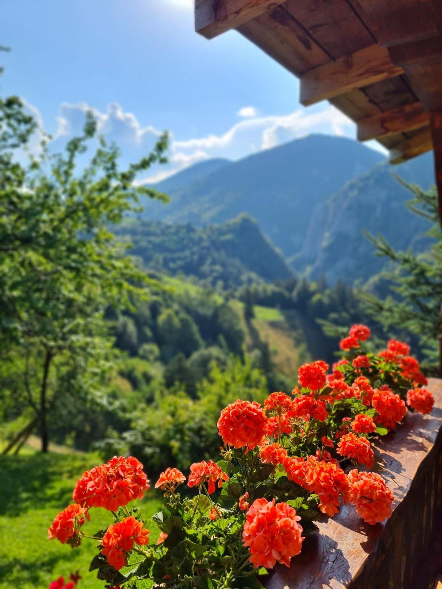Ferienhaus Casa Muchia Lui Girnita