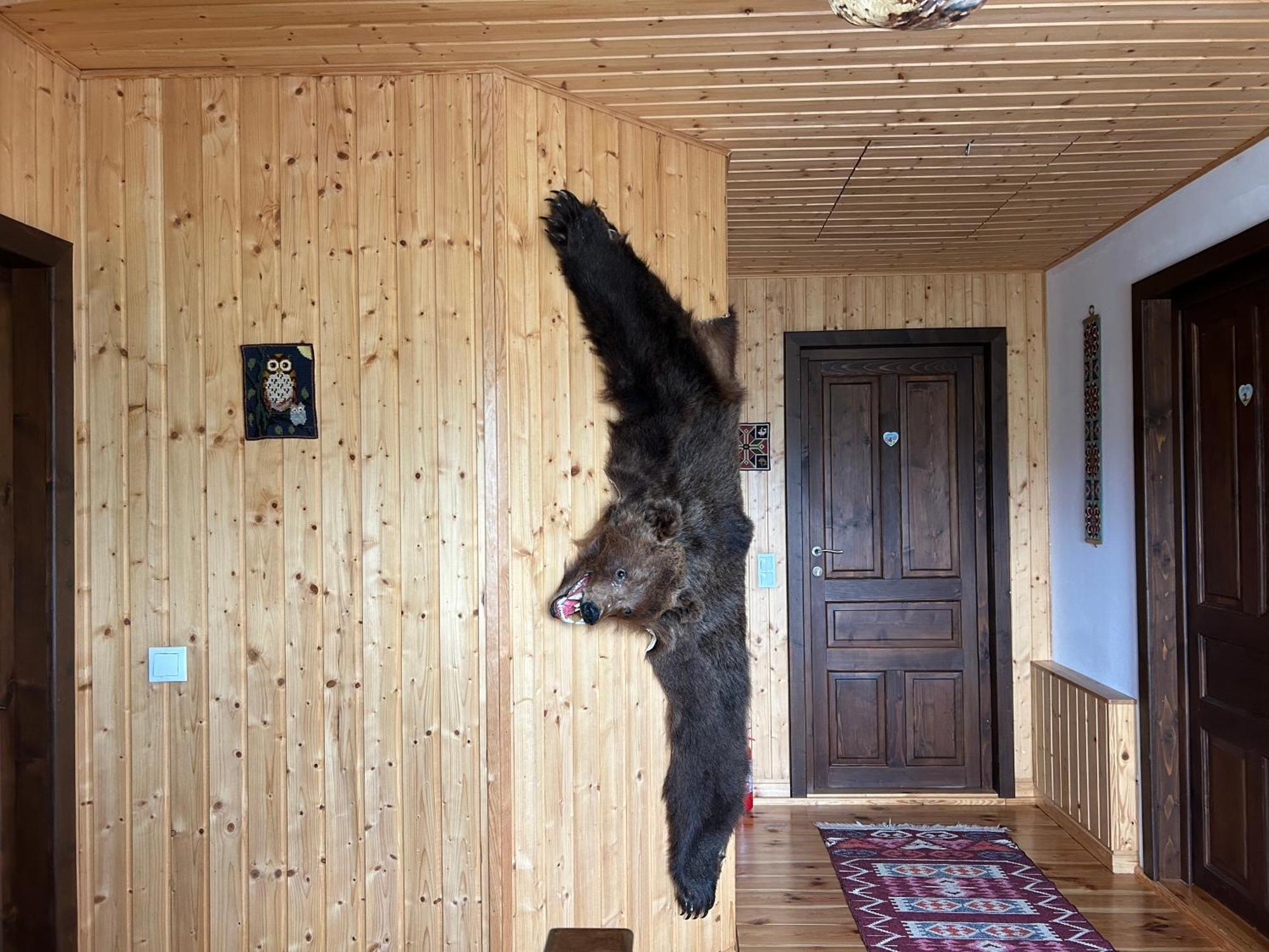 Casa Muchia Lui Girnita * Brașov